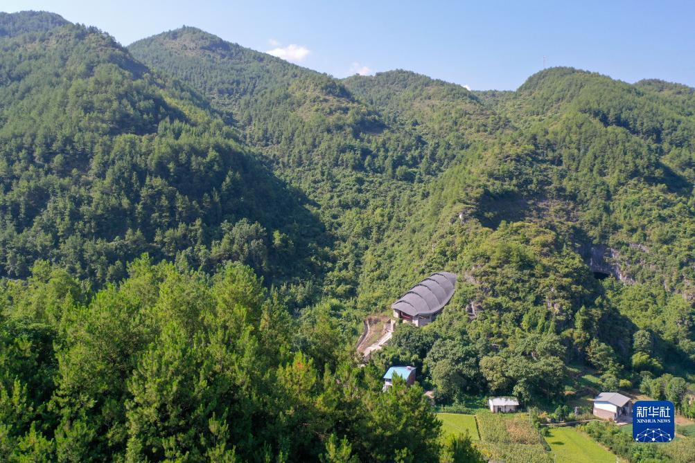 钱柜下载平台