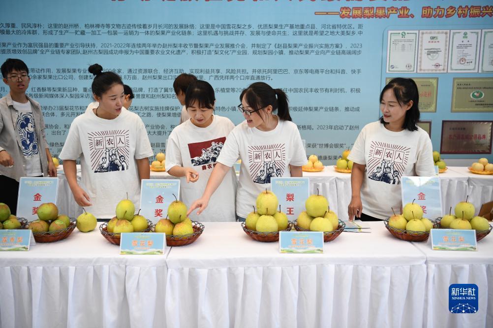 奥门永利402官方网站